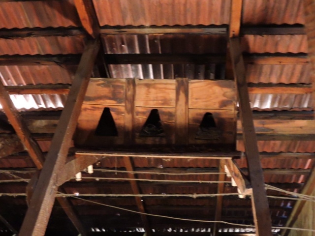 attic nesting box